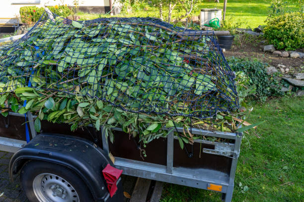 Best Hoarding Cleanup  in Hayesville, OR